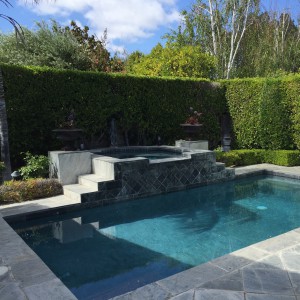 Pool with raised jacuzzi. Nice slate patio with room for a table and chairs or (my personal favorite) a fire pit!