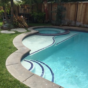 the pool is nestled into the corner of the yard and has a jacuzzi and a little baja shelf. What could be more perfect?
